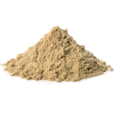 Benefits of Pumpkin Seed Extract Powder - Wholesale B2B Bulk Suppliers in Australia and New Zealand