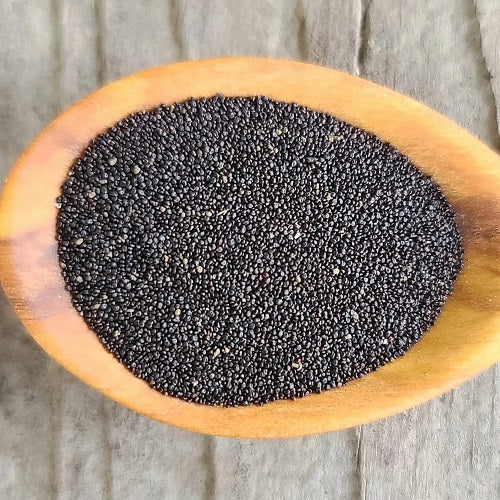 Benefits of Verdolaga Seeds - Wholesale B2B Bulk Suppliers in Australia and New Zealand