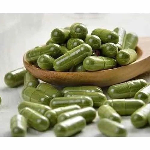 Benefits Of Sage Capsules - Wholesale B2B Bulk Suppliers