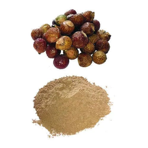 Benefits of Soapnut Extract Powder - Wholesale B2B Bulk Suppliers in Australia and New Zealand
