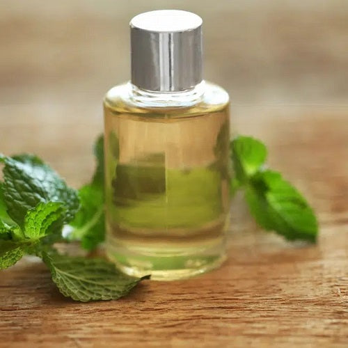 Benefits of Spearmint Essential Oil - Wholesale B2B Bulk Suppliers in Australia and New Zealand