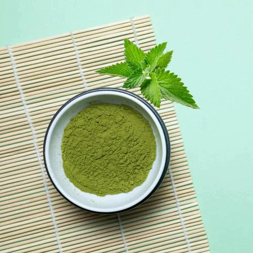 Benefits of Spearmint Powder for Optimal Oral Health - Wholesale B2B Bulk Suppliers