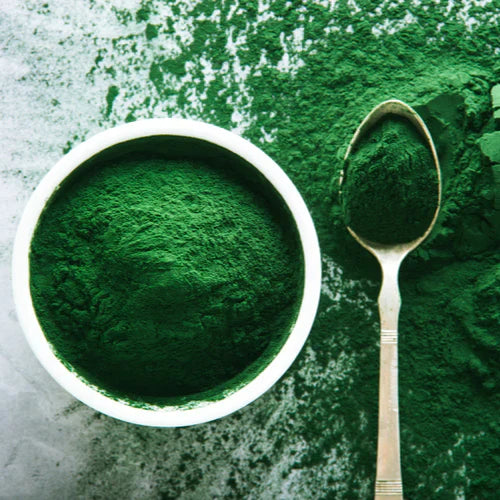 Benefits of Spirulina Powder - Wholesale B2B Bulk Suppliers in Australia and New Zealand