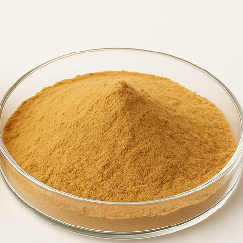 Benefits of Tremella Mushroom Extract Powder - Wholesale B2B Bulk Suppliers in Australia and New Zealand