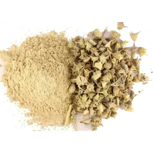 Benefits of Tribulus Extract Powder - Wholesale B2B Bulk Suppliers in Australia and New Zealand