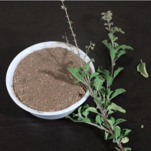 Benefits of Tulsi Powder - Wholesale B2B Bulk Suppliers in Australia and New Zealand