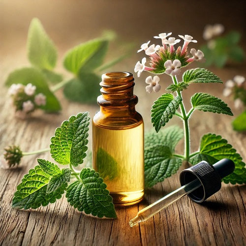 Benefits of Vervain Essential Oil - Wholesale B2B Bulk Suppliers in Australia and New Zealand