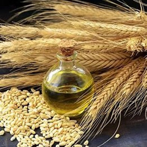 Benefits of Wheat Germ Oil - Wholesale B2B Bulk Suppliers in Australia and New Zealand