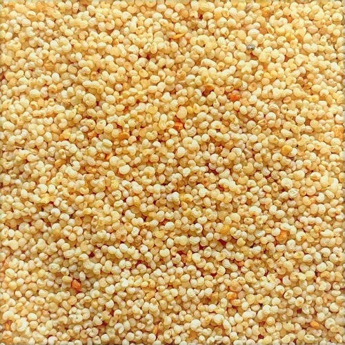 Benefits of White Poppy Seeds - Wholesale B2B Bulk Suppliers in Australia and New Zealand