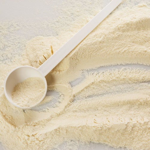 Benefits of Whole Egg Powder - Wholesale B2B Bulk Suppliers in Australia and New Zealand