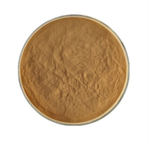 Benefits of Xanthoparmelia Extract Powder - Wholesale B2B Bulk Suppliers in Australia and New Zealand