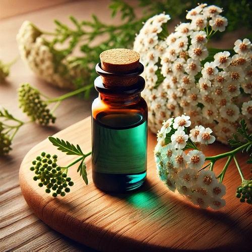 Benefits of Yarrow Essential Oil - Wholesale B2B Bulk Suppliers in Australia and New Zealand