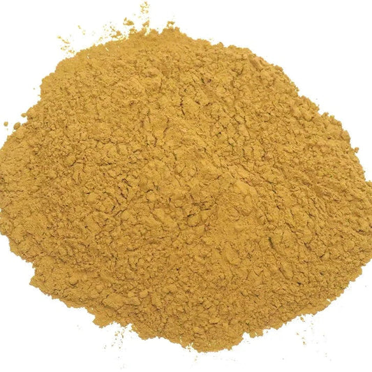 Benefits of Brahmi Powder - Wholesale B2B Bulk Suppliers