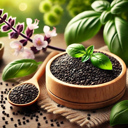 Benefits of Basil Seeds - Wholesale B2B Bulk Suppliers in Australia and New Zealand