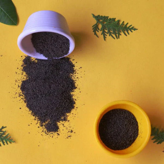 Benefits of Black Cumin Seed Powder - Wholesale B2B Bulk Suppliers in Australia and New Zealand