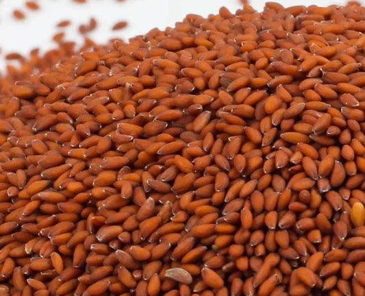 Benefits of Red Cress Seeds - Wholesale B2B Bulk Suppliers in Australia and New Zealand