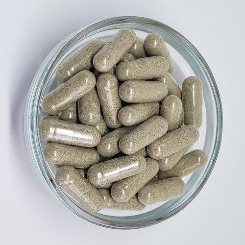 Benefits of Blue Vervain Capsules - Wholesale B2B Bulk Suppliers in Australia and New Zealand
