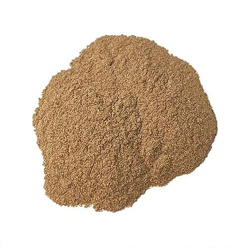 Benefits of Butcher's Broom Extract Powder - Wholesale B2B Bulk Suppliers in Australia and New Zealand