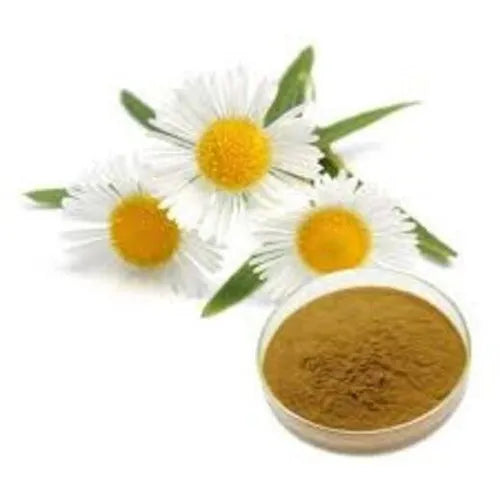 Benefits of Chamomile Extract Powder - Wholesale B2B Bulk Suppliers in Australia and New Zealand