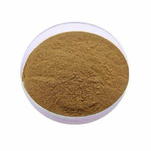 Benefits of Chanca Piedra Extract Powder - Wholesale B2B Bulk Suppliers in Australia and New Zealand