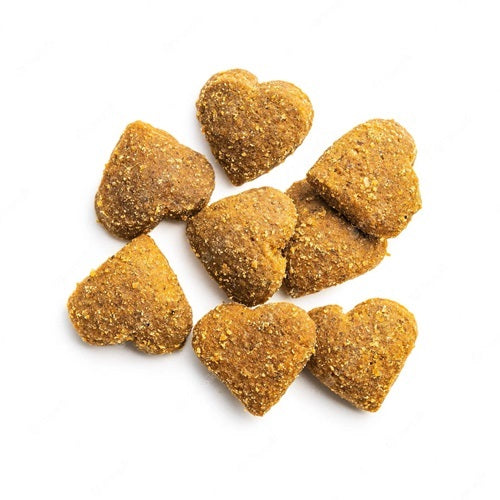 Benefits of Moringa Soft Chews for Dogs and Cats - Wholesale B2B Bulk Suppliers in Australia and New Zealand