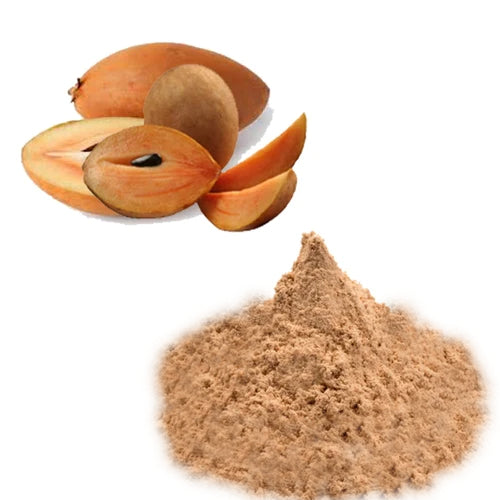 Benefits of Freeze Dried Chikoo (Sapodilla) Fruit Powder - Wholesale B2B Bulk Suppliers in Australia and New Zealand
