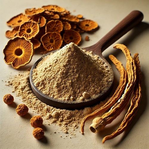 Benefits of Cordyceps Mushroom Extract Powder - Wholesale B2B Bulk Suppliers in Australia and New Zealand