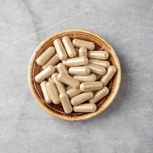 Benefits Of Dandelion Capsules - Wholesale B2B Bulk Suppliers