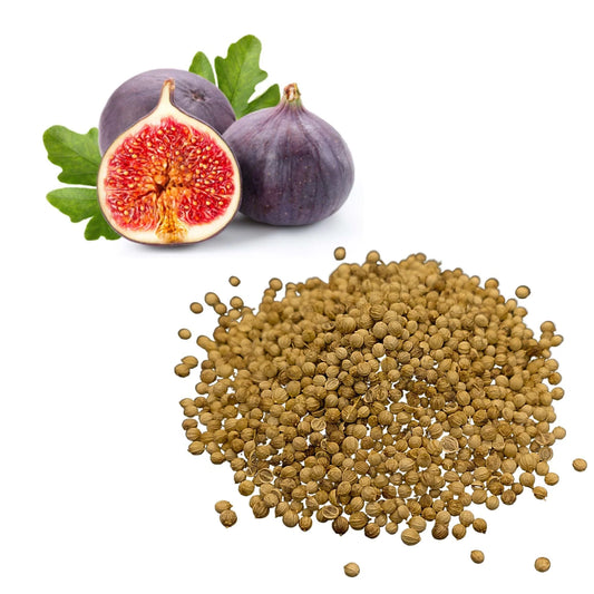 Benefits of Fig Seeds - Wholesale B2B Bulk Suppliers in Australia and New Zealand