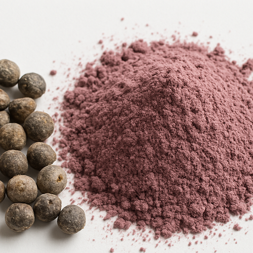 Benefits of Freeze Dried Chasteberry Powder - Wholesale B2B Bulk Suppliers in Australia and New Zealand