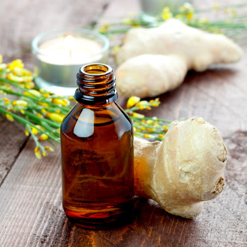 Benefits of Ginger Essential Oil - Wholesale B2B Bulk Suppliers in Australia and New Zealand