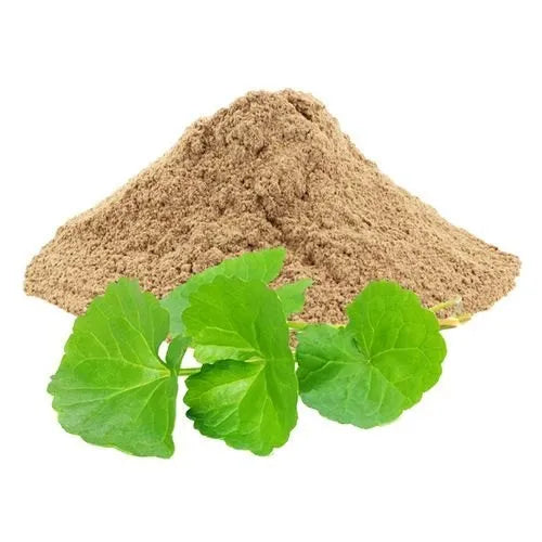 Benefits of Gotu kola Powder - Wholesale B2B Bulk Suppliers in Australia and New Zealand