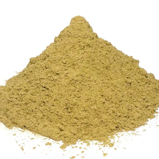 Benefits of  Gotu Kola Powder - Wholesale B2B Bulk Suppliers