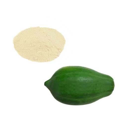 Benefits of Green Papaya Fruit Powder - Wholesale B2B Bulk Suppliers in Australia and New Zealand