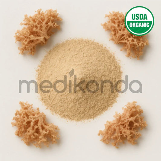 Trusted Source for Irish Moss Powder in Australia and New Zealand – Buy Now at Medikonda.com