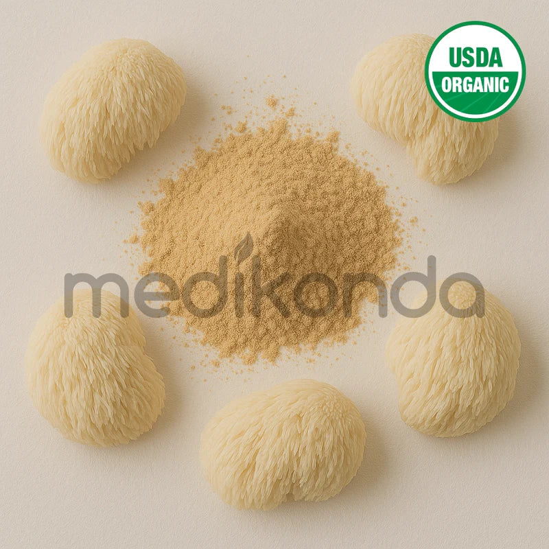 Best Lion’s Mane Extract Powder for Extraction – Order Now in Australia