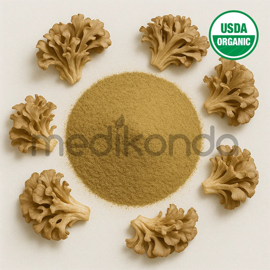 Benefits of Maitake Mushroom Powder - Wholesale B2B Bulk Suppliers