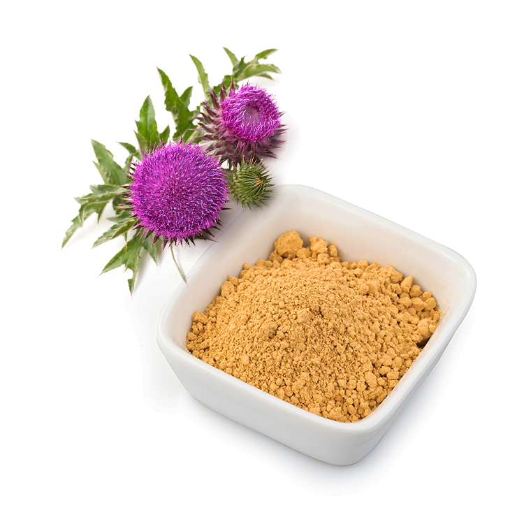 Benefits of Milk Thistle Extract Powder - Wholesale B2B Bulk Suppliers in Australia and New Zealand