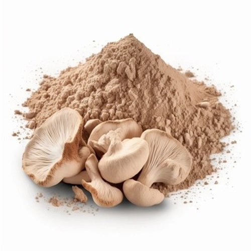 Benefits of Oyster Mushroom Powder - Wholesale B2B Bulk Suppliers in Australia and New Zealand
