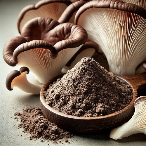 Benefits of Oyster Mushroom Extract Powder - Wholesale B2B Bulk Suppliers in Australia and New Zealand