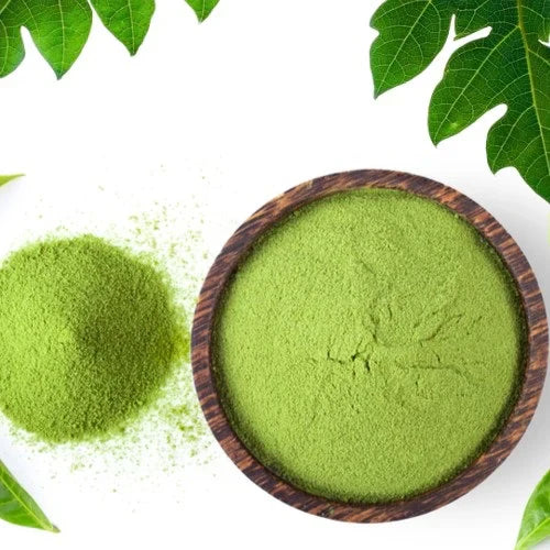 Benefits of Papaya Leaf Powder - Wholesale B2B Bulk Suppliers in Australia and New Zealand