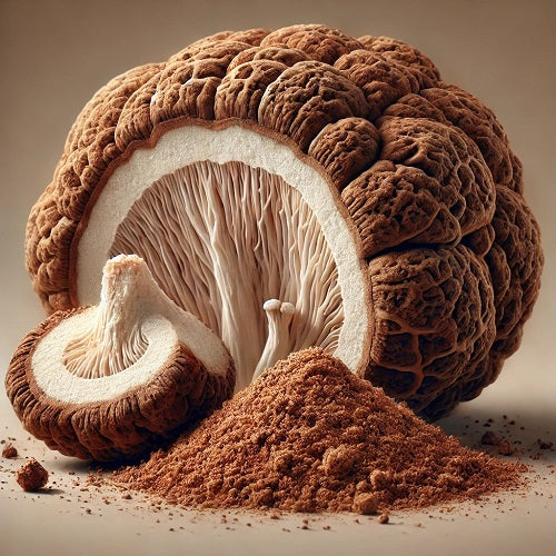 Benefits of Poria Mushroom Extract Powder - Wholesale B2B Bulk Suppliers in Australia and New Zealand