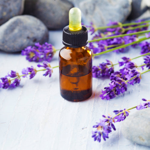 Benefits of Lavender Essential Oil - Wholesale B2B Bulk Suppliers in Australia and New Zealand