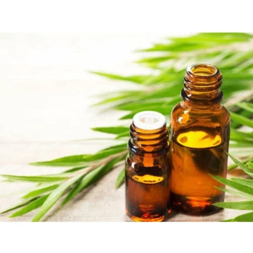 Benefits Of Rosalina Essential Oil - Wholesale B2B Bulk Suppliers