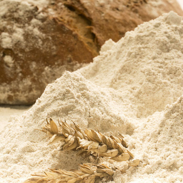 Benefits of Rye Flour - Wholesale B2B Bulk Suppliers in Australia and New Zealand