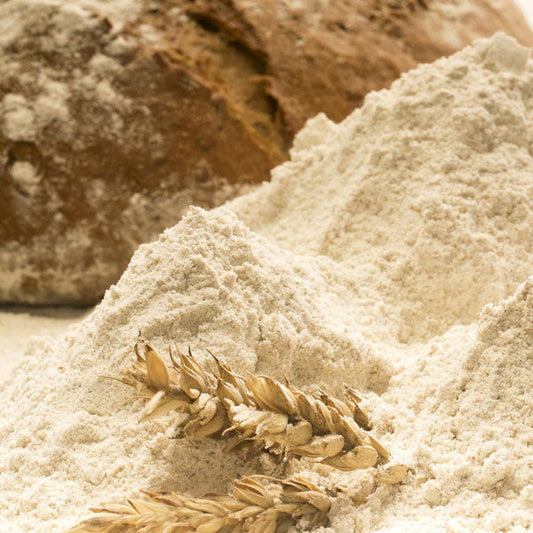 Benefits of Rye Flour - Wholesale B2B Bulk Suppliers in Australia and New Zealand