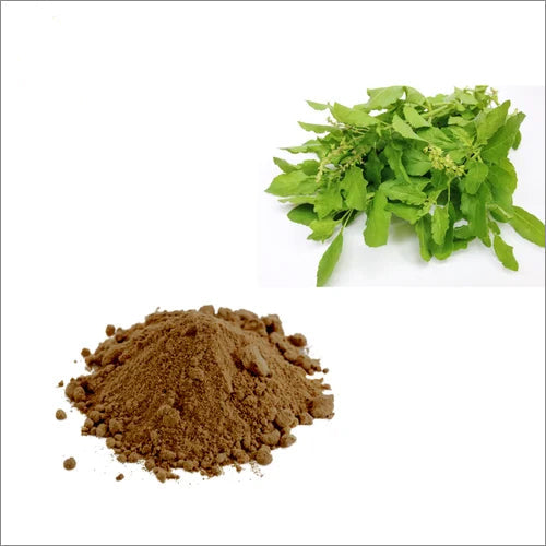 Benefits of Tulsi Leaf Extract Powder - Wholesale B2B Bulk Suppliers in Australia and New Zealand