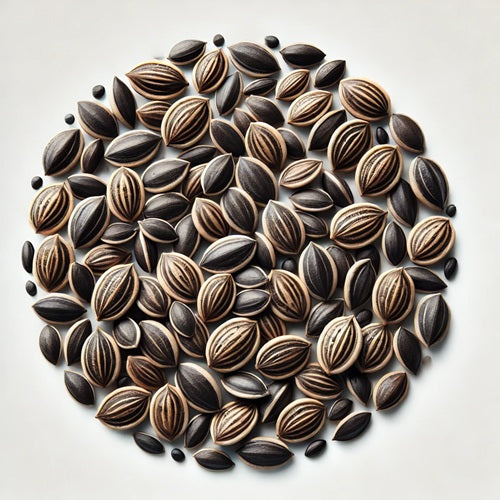 Benefits of Watermelon Seeds - Wholesale B2B Bulk Suppliers in Australia and New Zealand