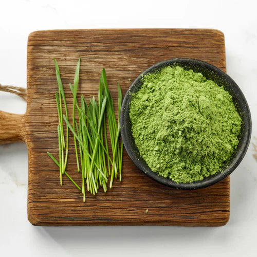Benefits of Wheatgrass Sprout Powder - Wholesale B2B Bulk Suppliers