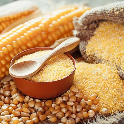 Benefits of Yellow Cornmeal Powder - Wholesale B2B Bulk Suppliers in Australia and New Zealand